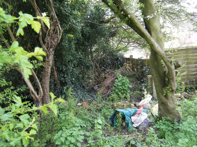 dscf5092.jpg